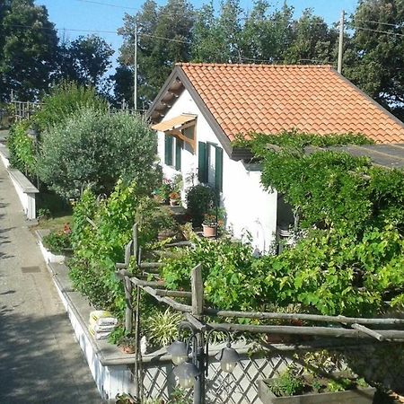 The Cottage Agerola Exterior photo
