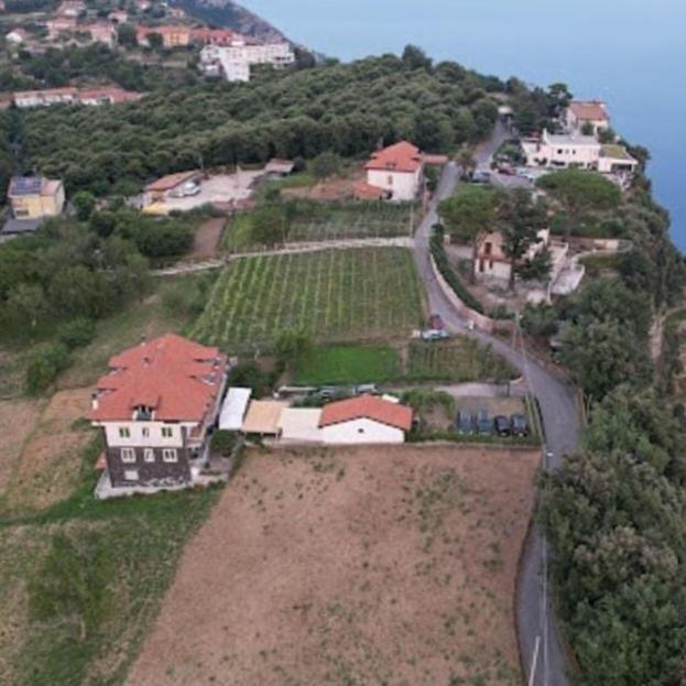 The Cottage Agerola Exterior photo